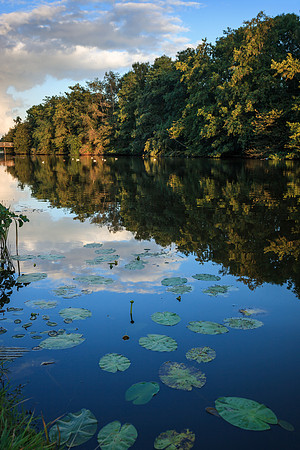 Lakes of Friesland Netherlands