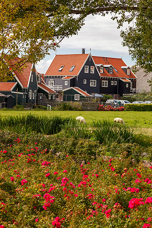 Traditional Houses Netherland