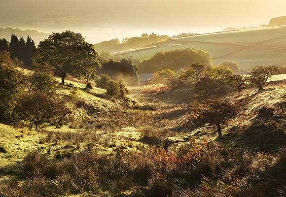 British Landscape