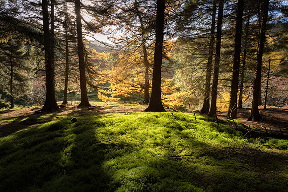 Autumn Peak Districts England