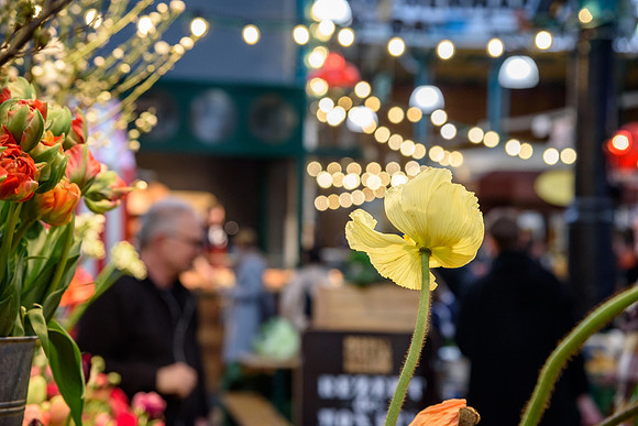 Flower Market Bokeh Indoor