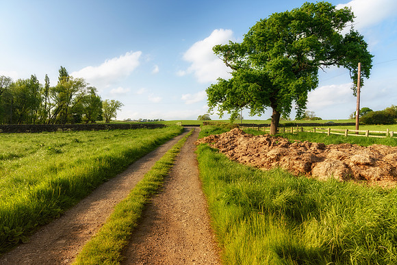Countryside of Yorkshire, England UK