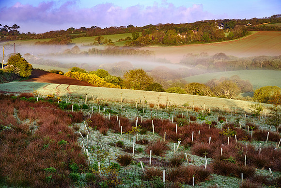 Cornwall , South West England.