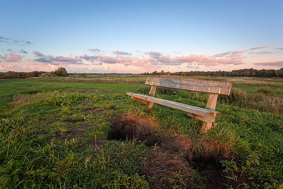 Wooden Bench