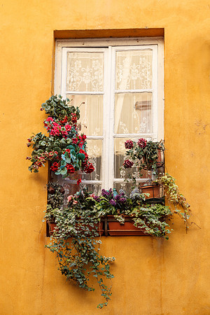 Window dressing Italian Style