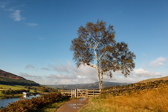 Countryside walk England
