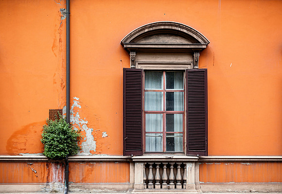 Window Shutter