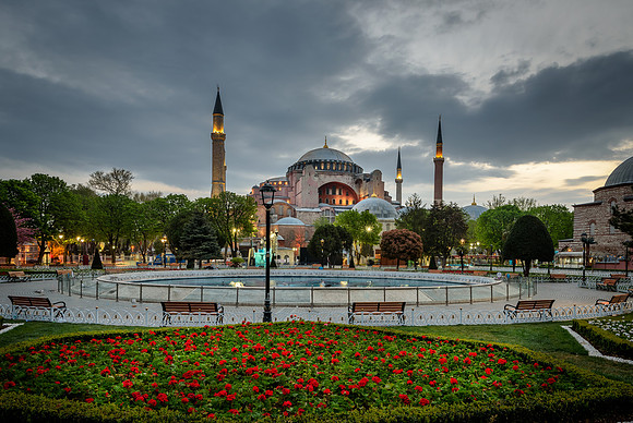 Tulips and Hagia Sophia in Isanbul,Turkey